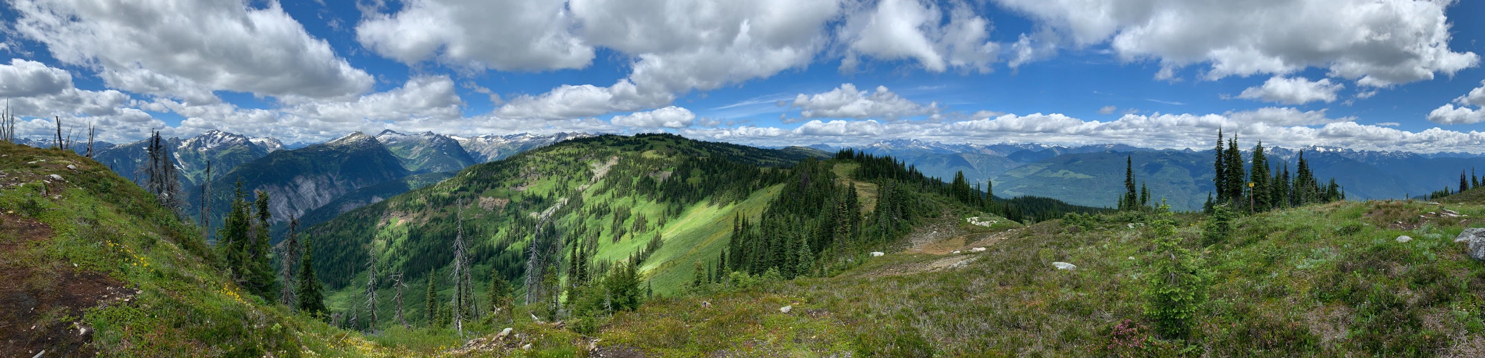 Williamson Lake Campground - Photo 2