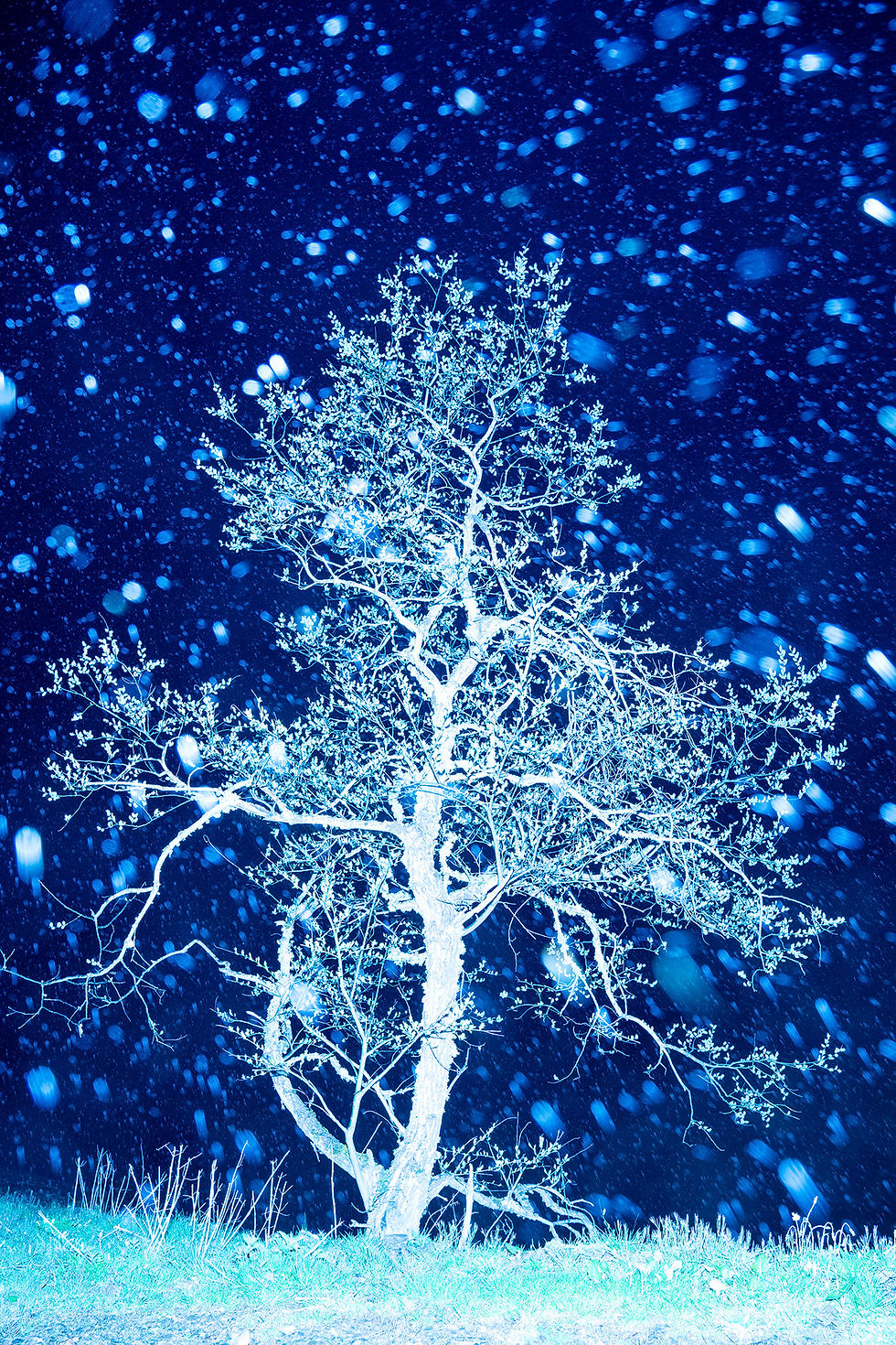 N°8 _ Dans la tempête