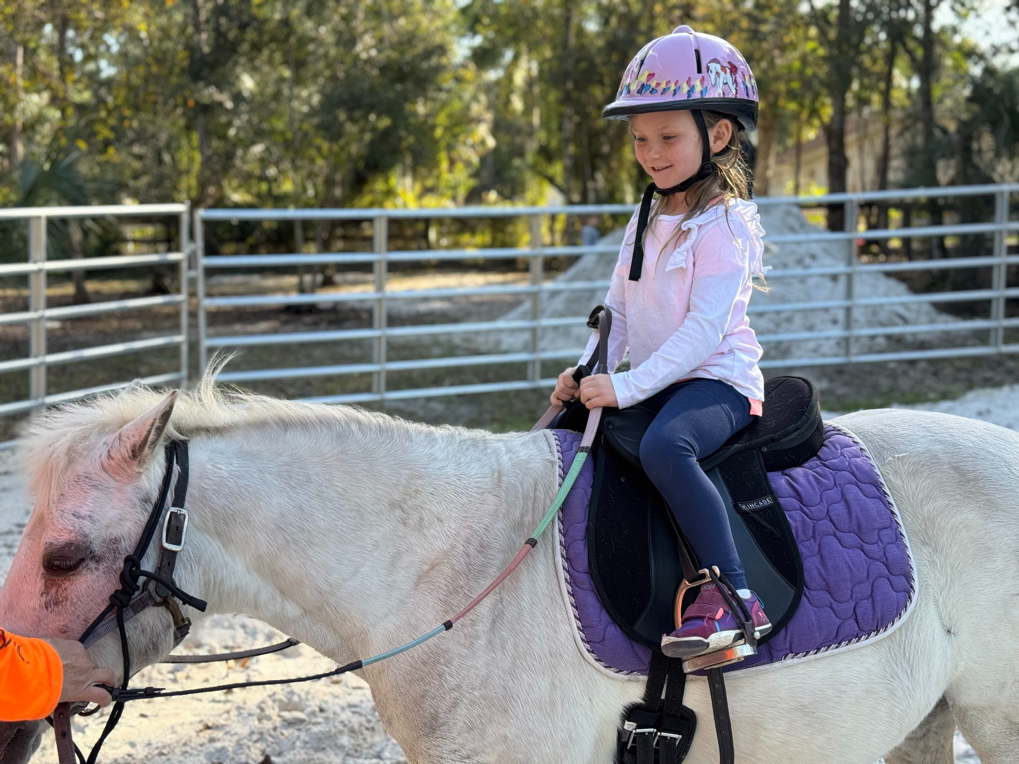 Mlp Bull Riding Pony Riding | Fl Sports Leagues
