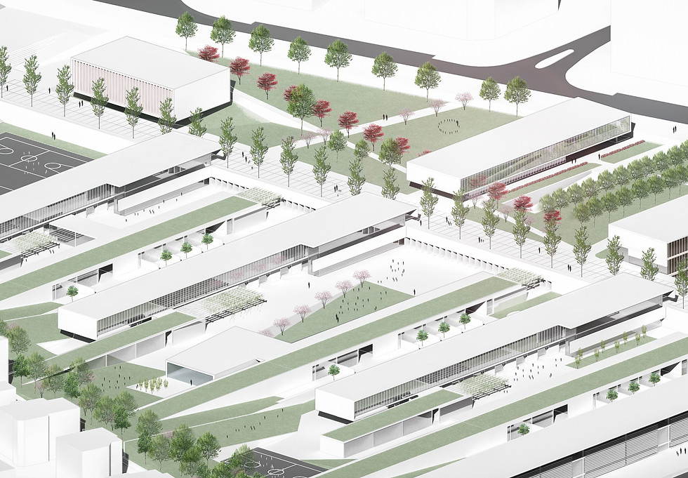 rsl_11 1_removed_cropped.jpg