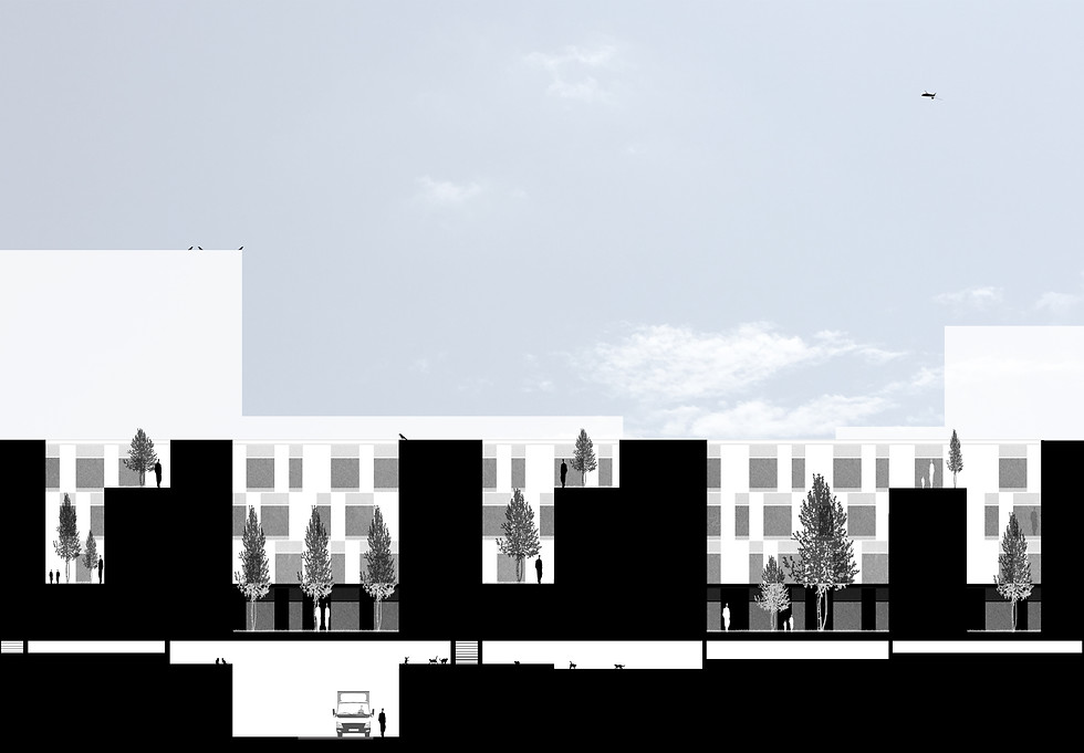 new facade lage cropped.jpg