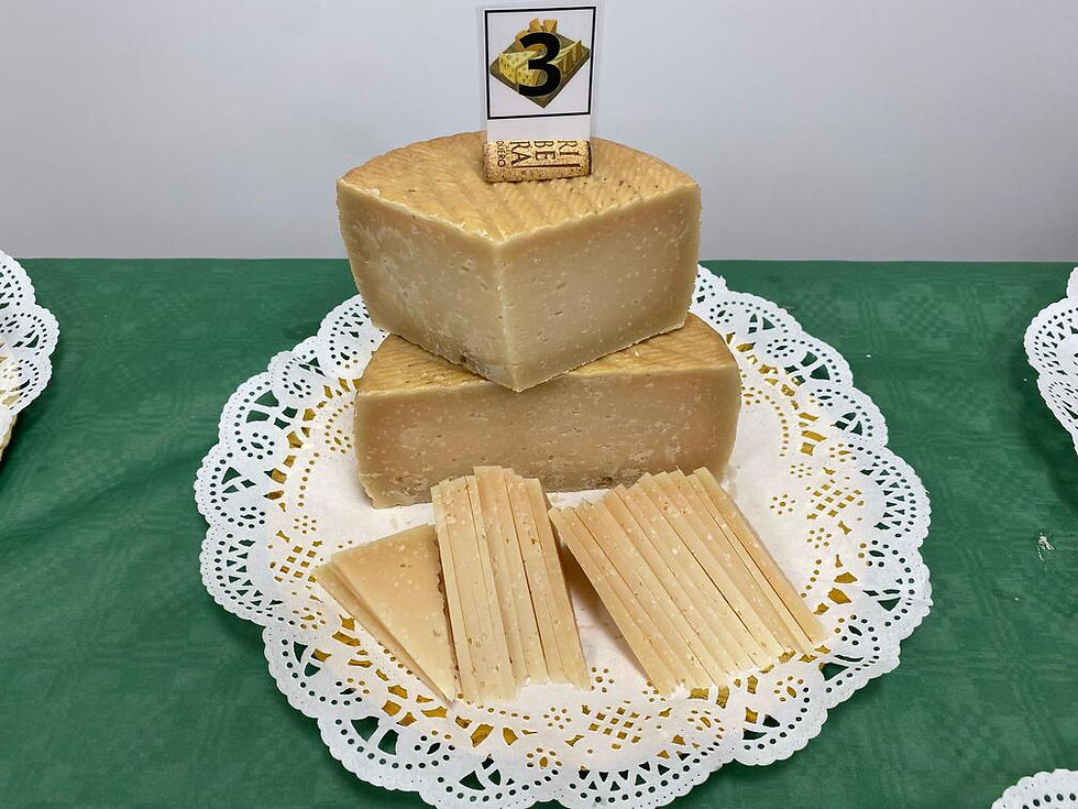 lavapuertas-cortado-3