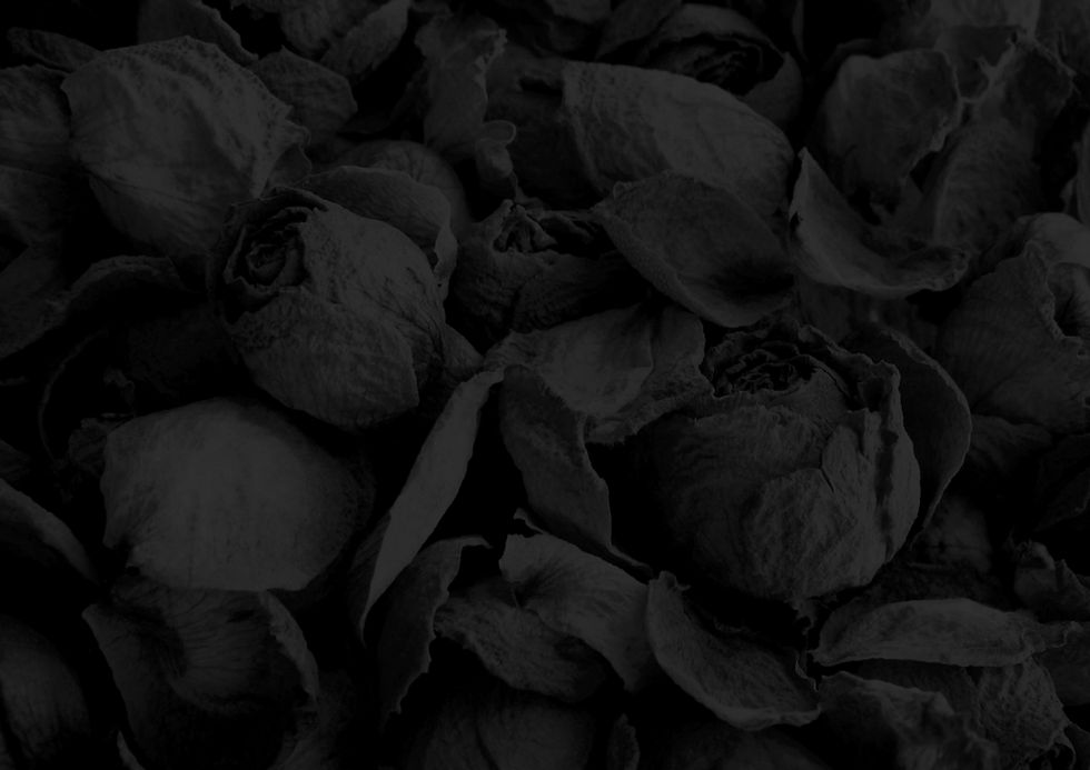 Petals back.jpg