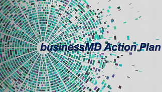 businessMD Action Plan.png