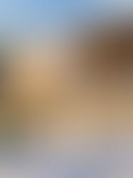 Luxury real estate in 2025 goes beyond marble and amenities. Discover how wellness, smart living, and sustainability define modern luxury with Bhasin Estate.