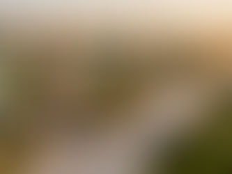 🏠 5 Things to Check Before Buying a Floor in Faridabad