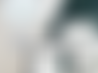 What a Strategic Brand Identity Actually Does for Women-Led Businesses