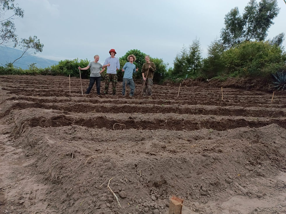 	We will focus, in a second time, on why is the garden a privilegious place to teach, not only biodiversity, and study. We will walk through the arguments