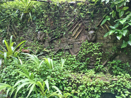 Vegetalized wall in Peru