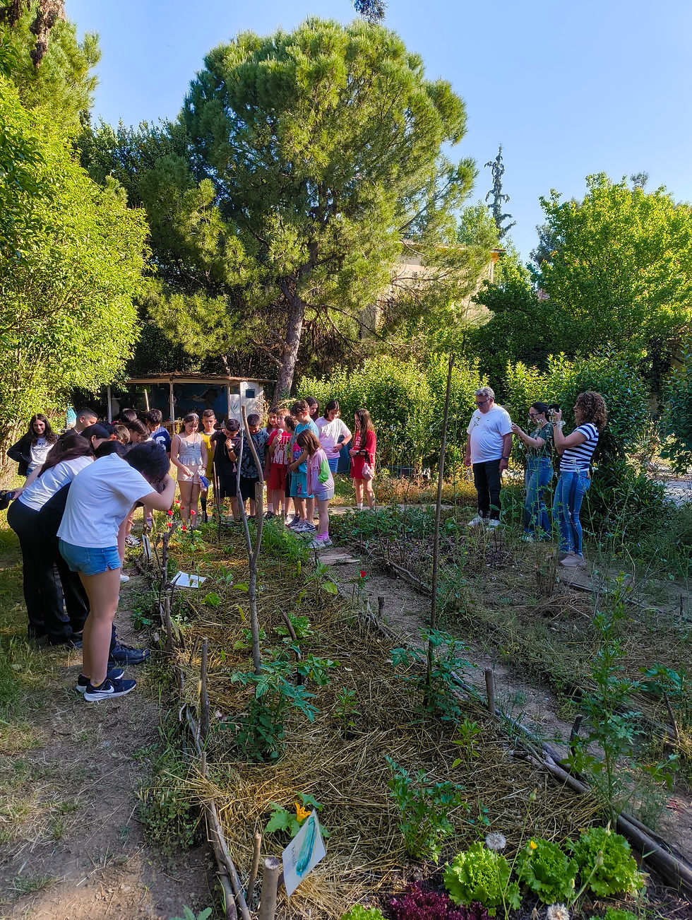 a class in the garden