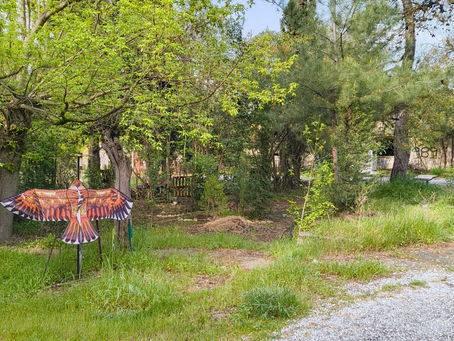 Entrance of the garden