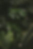 2010-bg.jpeg