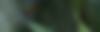 Rectangle 167.png