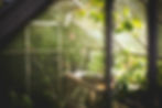 footer image.jpeg