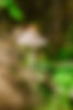 2019-bg.jpeg