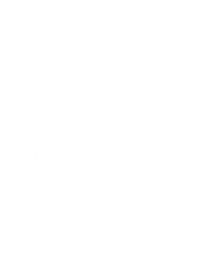 vector art_success_WHITE.png