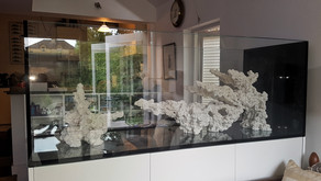 aquascape delivered and installed