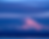 rainier-2024.png