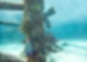 Through the Looking Glass Pt. II_12MP.jpg
