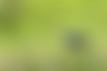 Save the Celery Fields