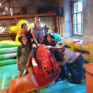 Mechanical Bull 1