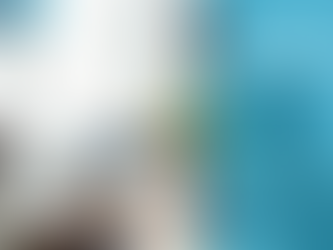 How to leverage increased visibility to build a thriving organisation