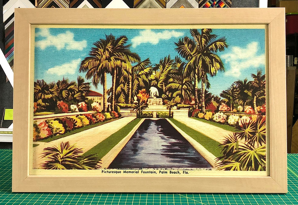 Palm Beach Native Art