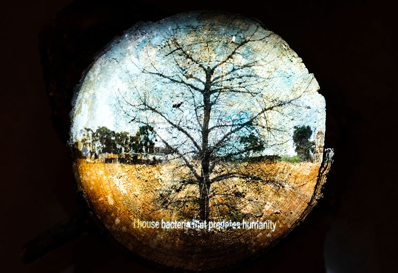 mrehorek(52of76) (1).jpg