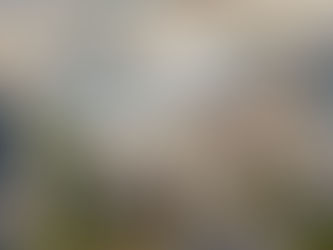 56,000 SF Industrial Building For Sale | Foothills Industrial Park