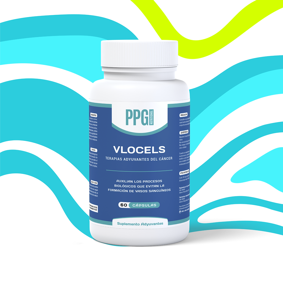 MOLDE_PPG-21_bfj83g