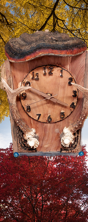 Unikat Uhr mit Stockschwam