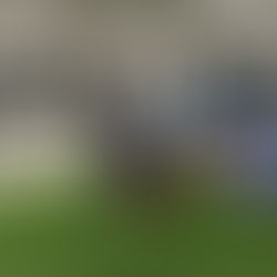 Advantage Physical Therapy expands to Reston