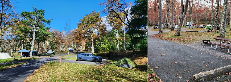 Photo by Joe Steiner