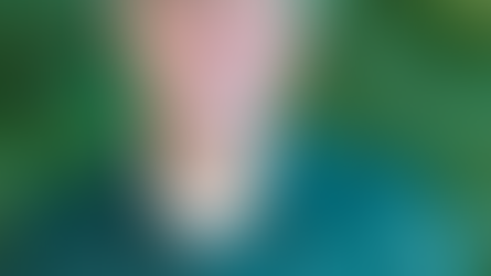 Reston Association Announces Resignation of CEO Mac Cummins