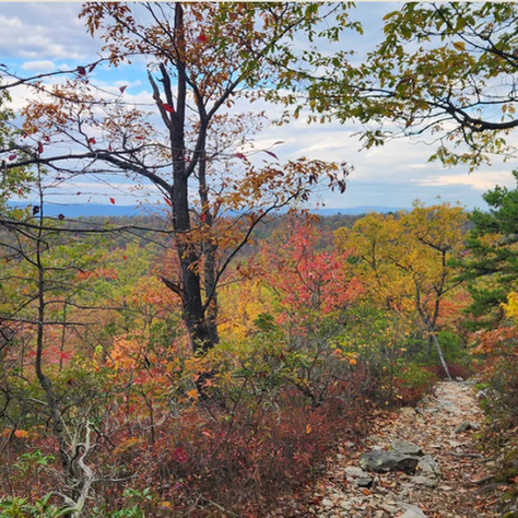 Take a less-traveled day trip