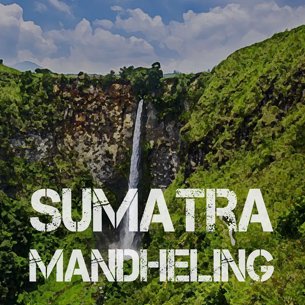 Thumbnail: One Happy Coffee Sumatra Mandheling Whole Beans 16oz