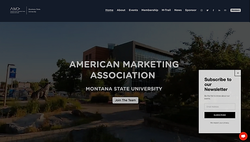 Montana State University website landing page
