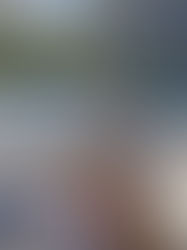 What Your Fear of Money Is Actually Protecting