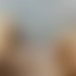 Functional Freeze: When Survival Masquerades as Success