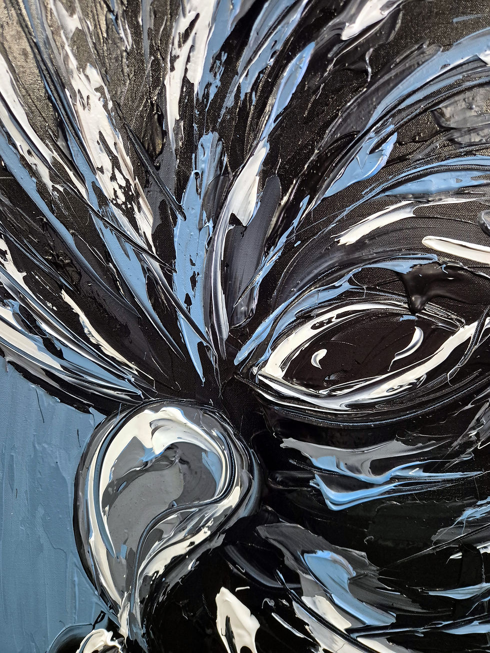 Thumbnail: Large Black Cockatoo