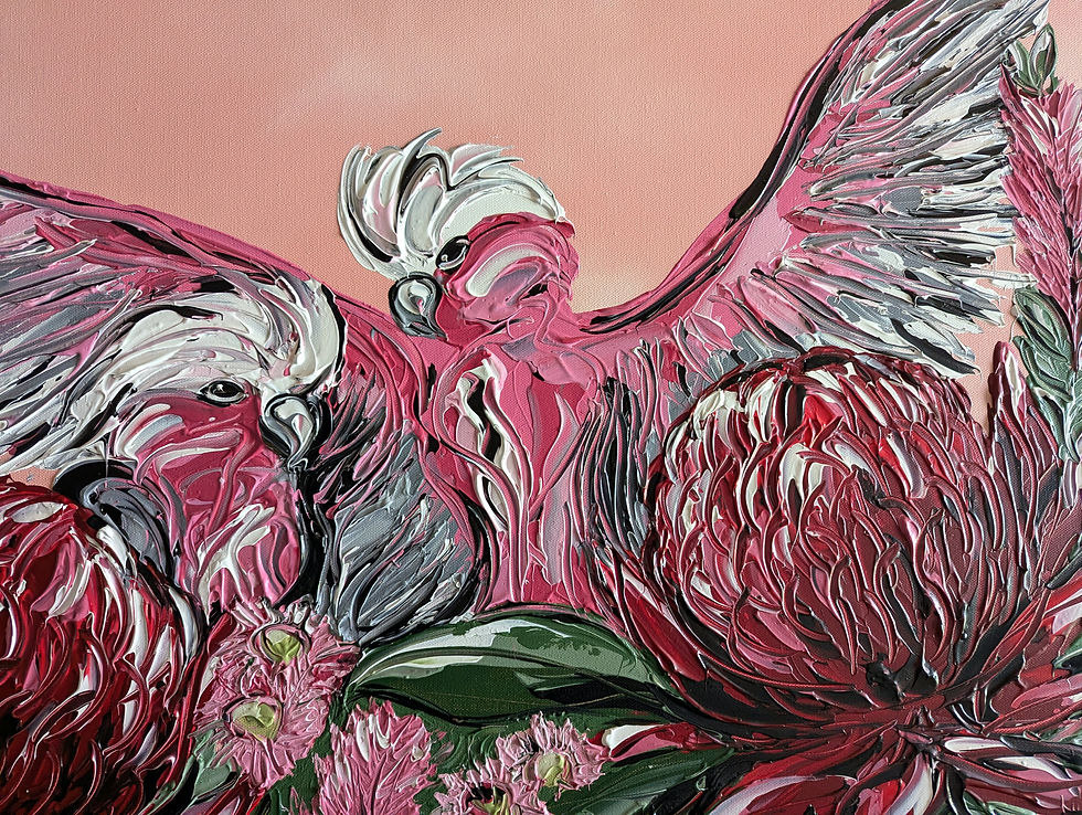 Thumbnail: Galahs in the Canopy