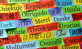 admissions image website.png