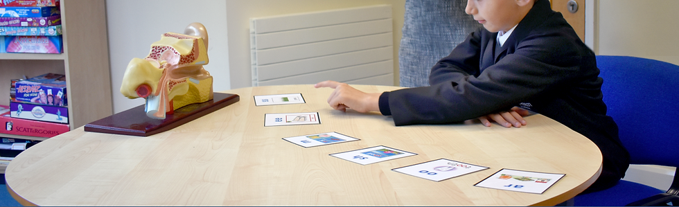 student staff hira link testing_edited.png