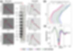 Fig 2: Panel (A) shows pressure variation for all cases across multiple planes in the dissection for TL and FL. Panel (B) shows the pressure difference between TL and FL across all planes and Panel (C) shows the displacement at P3 for all cases.