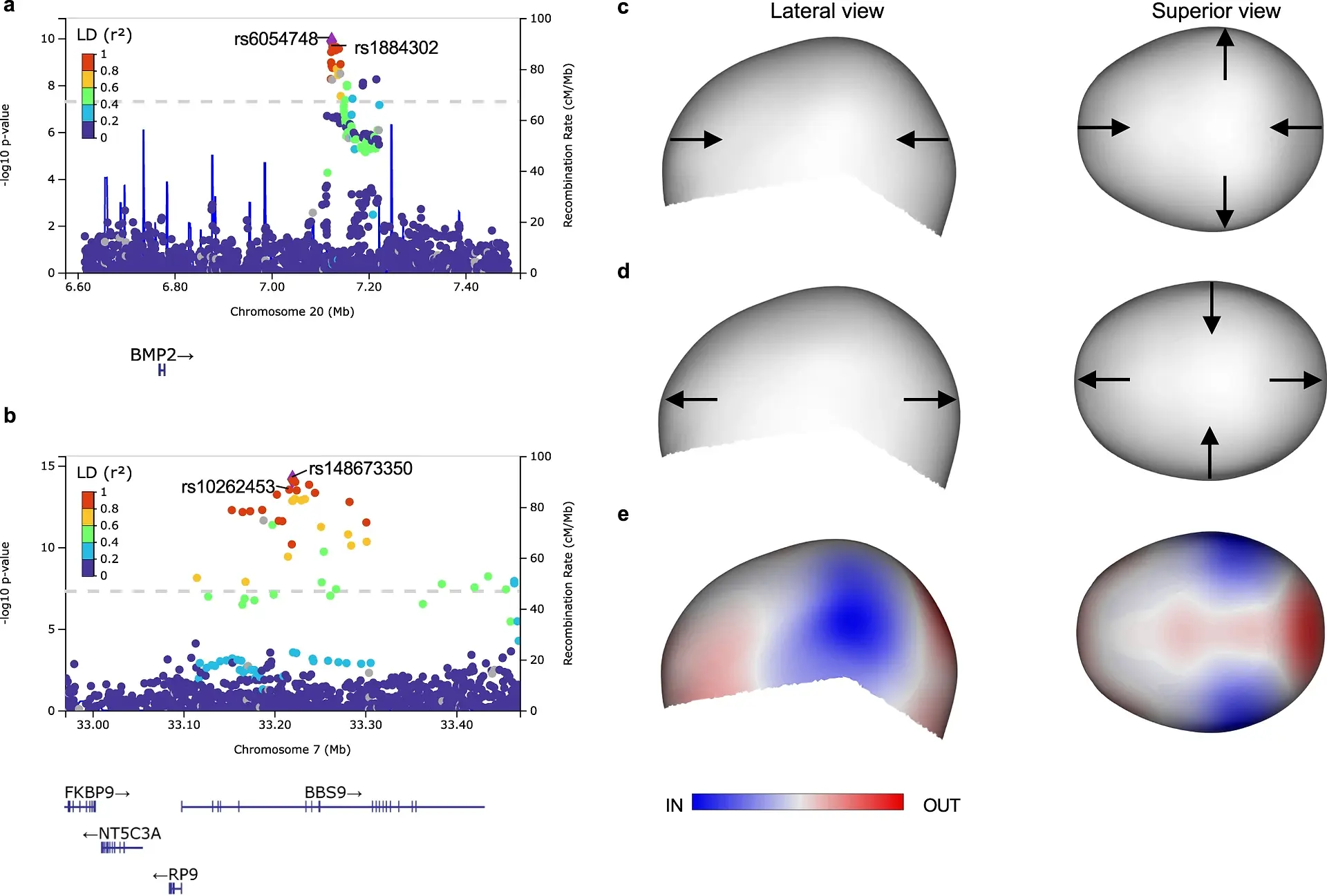 Fig. 4: Variation near BMP2 an