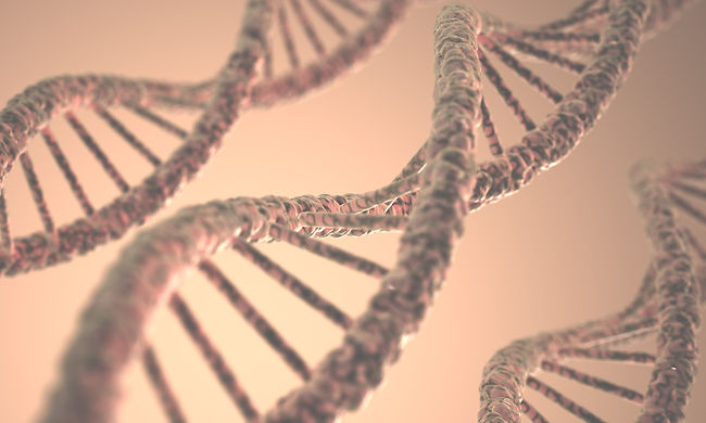 Illustration of DNA