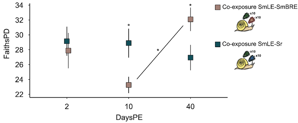 Figure 3: The bacterial aspect of the microbiome during the two co-infection experiments (S. mansoni population LE & S. mansoni population BRE, and S. mansoni population LE & S. rodhaini; as indicated by the color code) across 2, 10, and 40 daysPE (irrespective of final infection outcome). The alpha diversity as calculated through the faith’s phylogenetic diversity metric, based on mean values with error bars representing a single standard deviation. The line represents the pairwise comparison between 10 and 40 daysPE for the co-exposure of S. mansoni population LE - S. mansoni population BRE. Significance: <0.05=‘*’.