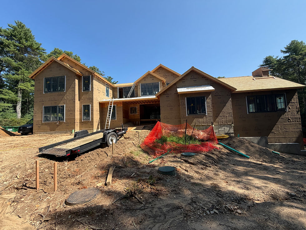 Transitional Renovation