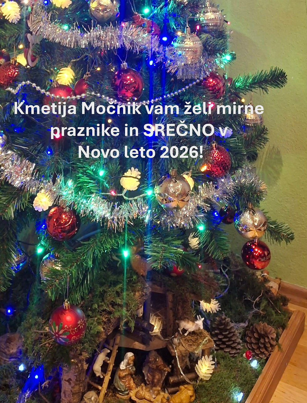 voščilo splet 26