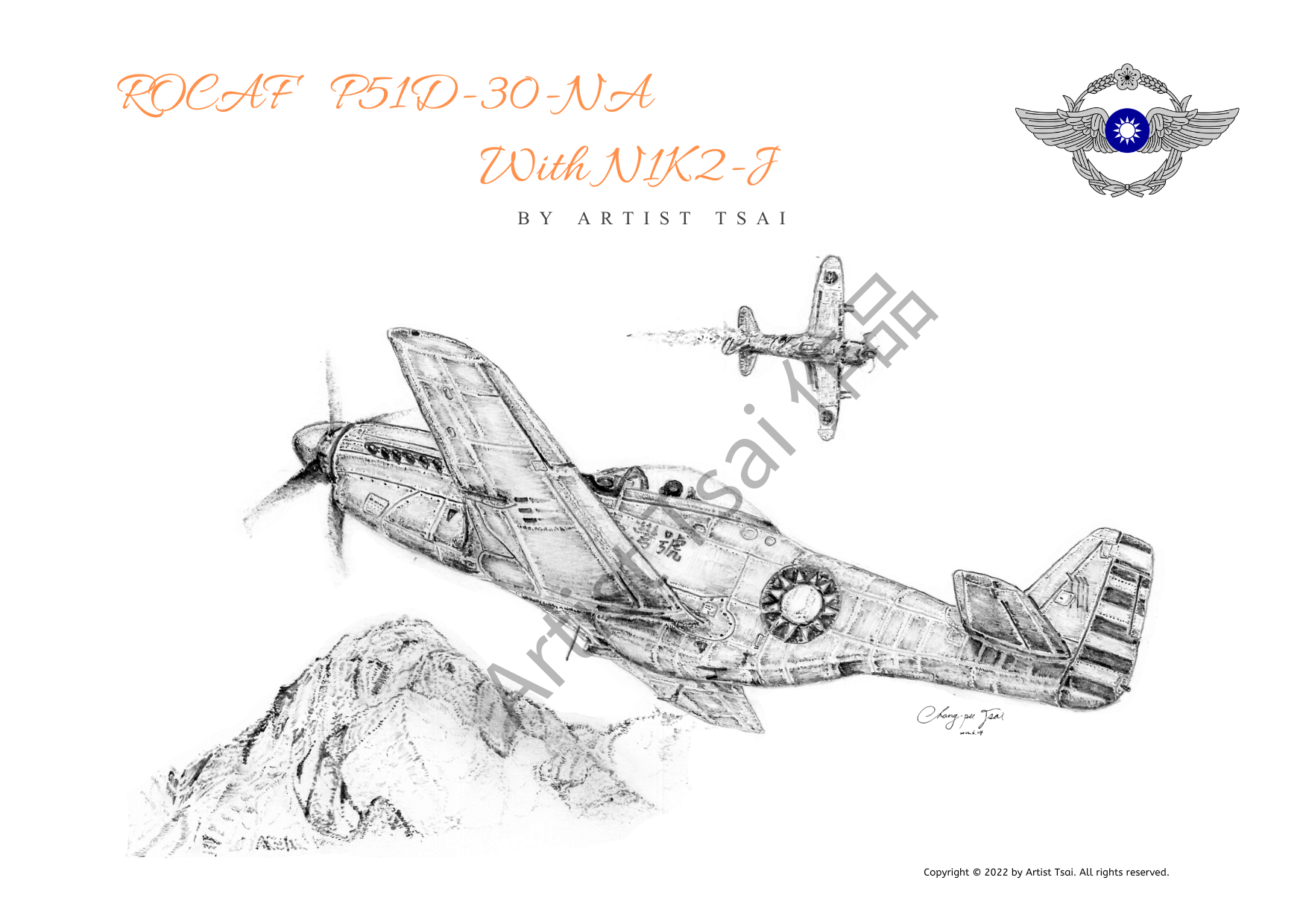 臺灣 P-51D-30-NA 野馬式戰機